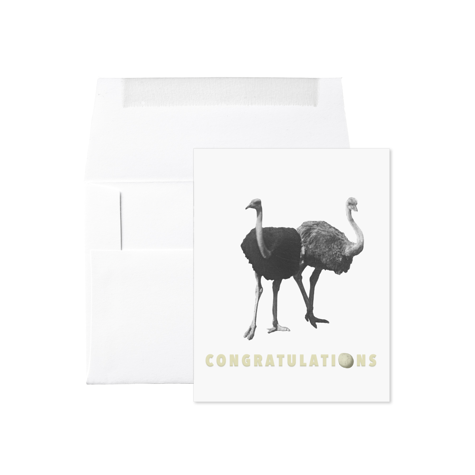 OSTRICH EGG CONGRATULATIONS CARD