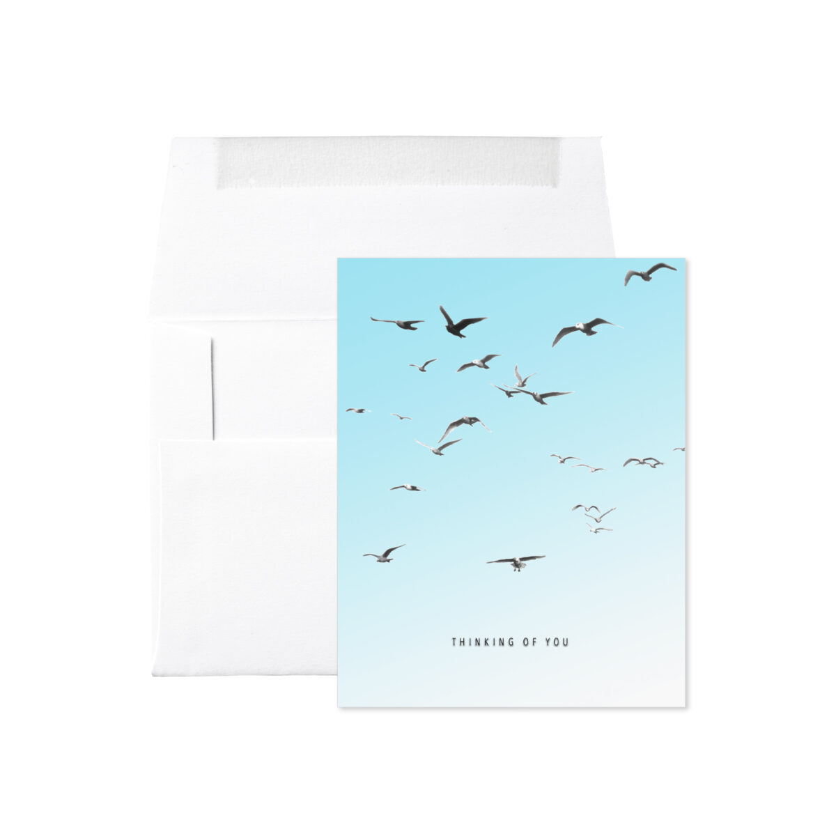 SEAGULLS THINKING OF YOU CARD